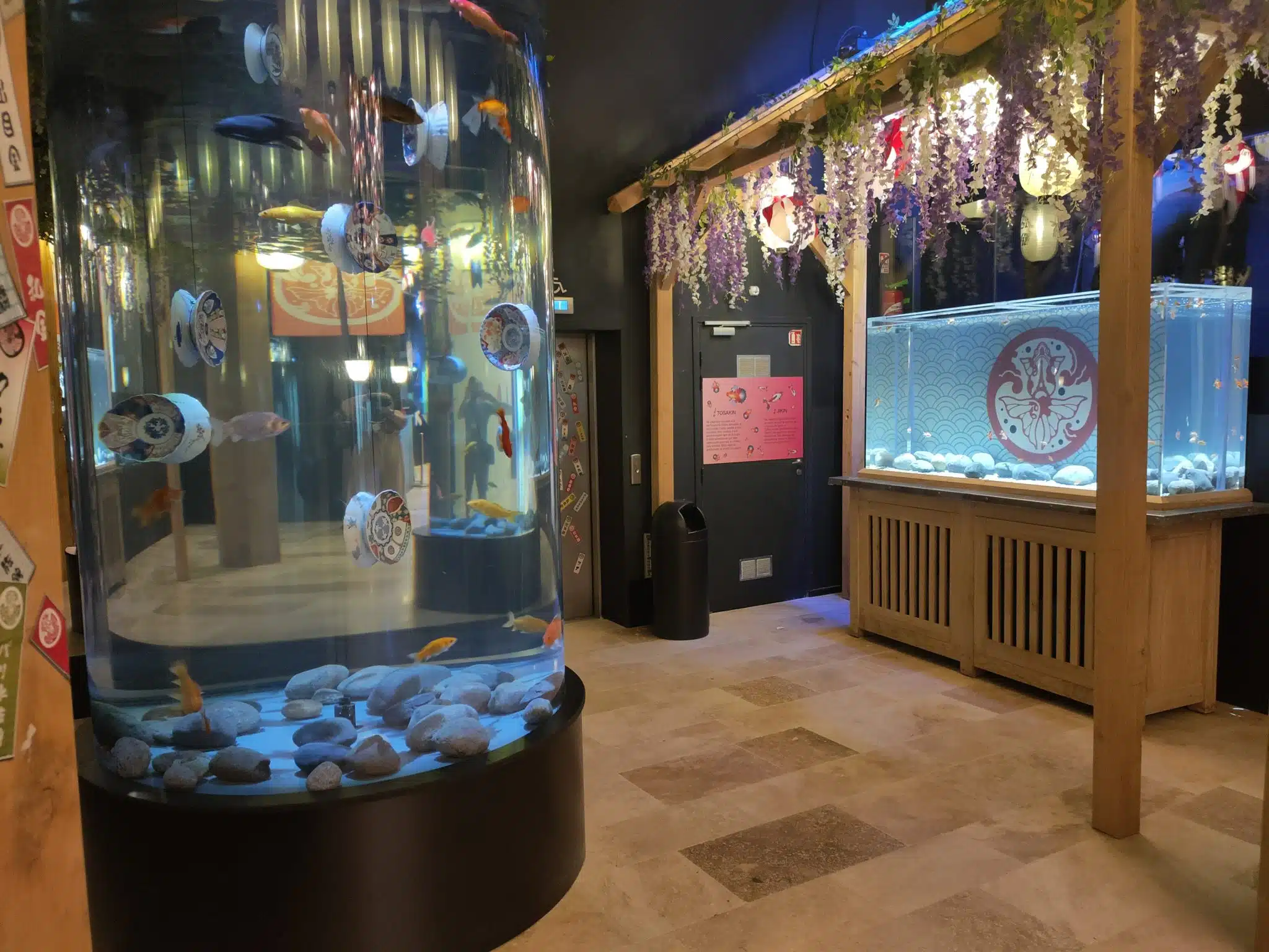 Location de tube aquarium