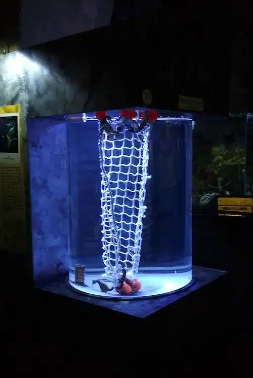 Aquarium sur mesure